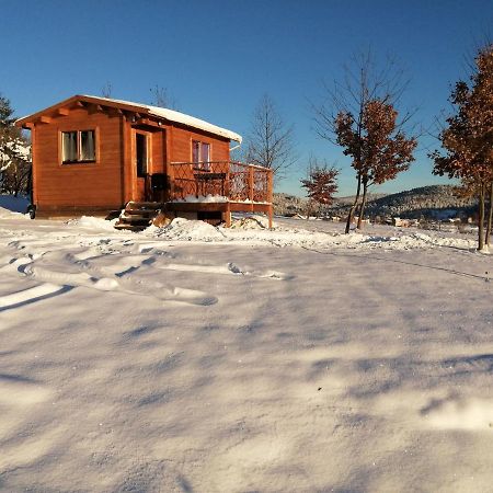 Le Chalet Des Etoiles Champagnac-le-Vieux Экстерьер фото